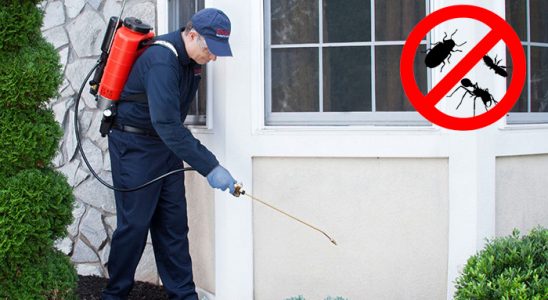 Mutki Böcek ve Haşere İlaçlama böcek ilaçlama ve haşere kontrolü — ilaclama-tr.com